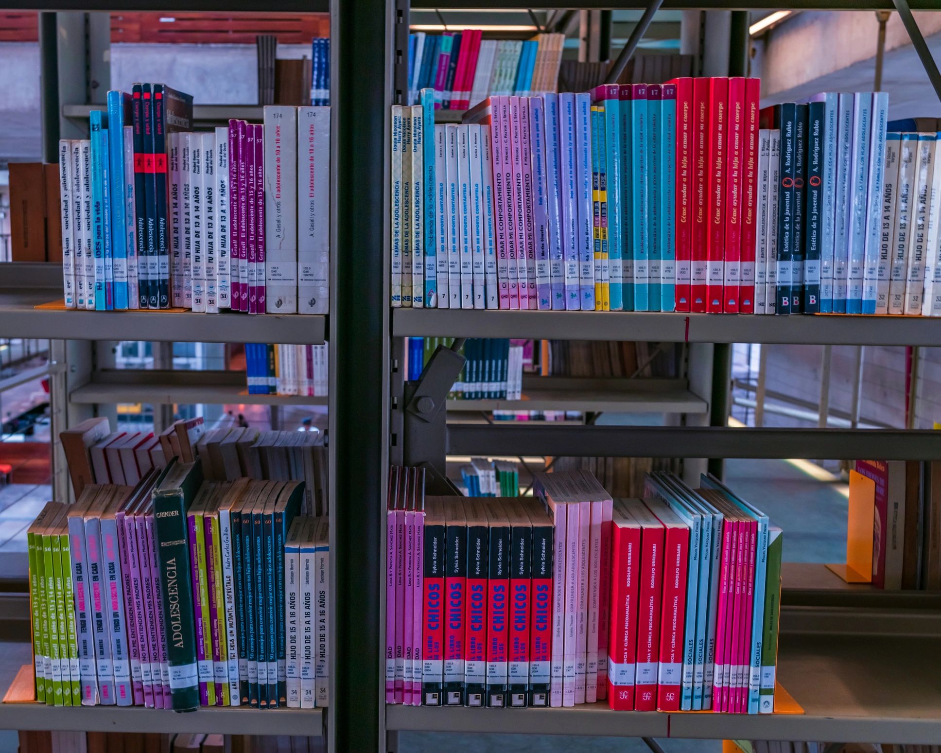 Books lined on library shelves—wide view for a modern bookstore feel.